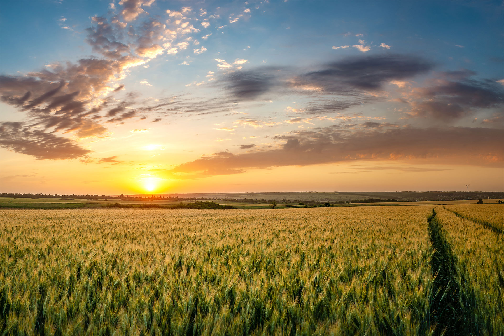 Sonnenuntergang Agrar Landschaft