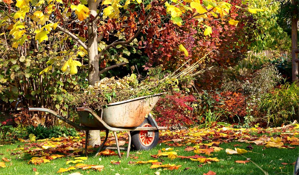 Bunter Herbstgarten