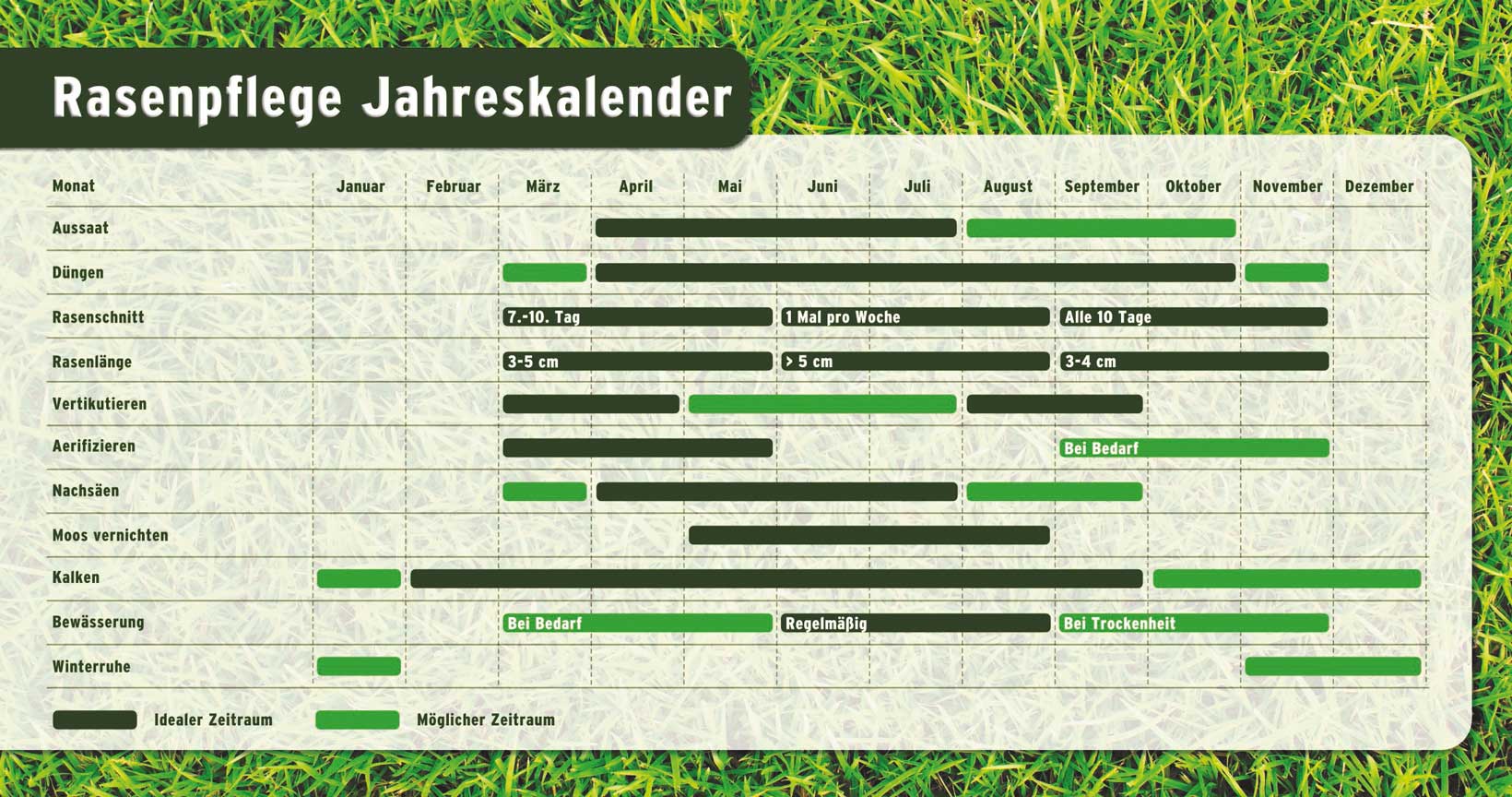 Rasenpflege Rasenkalender