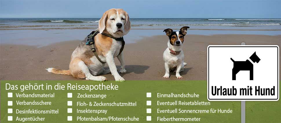 Reise Apotheke Hunde