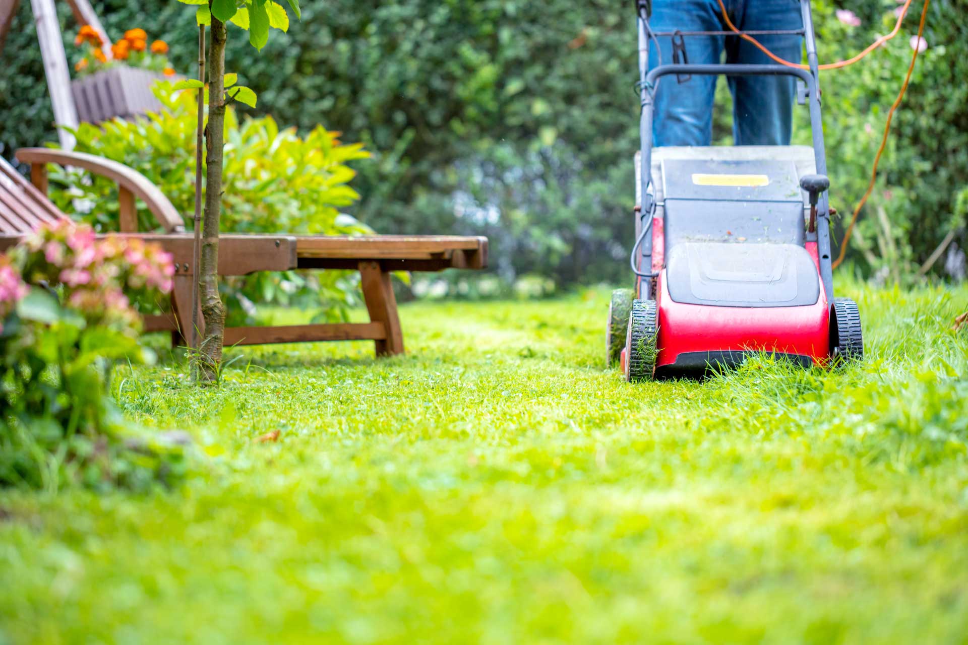 Sommerrasen wird gemäht
