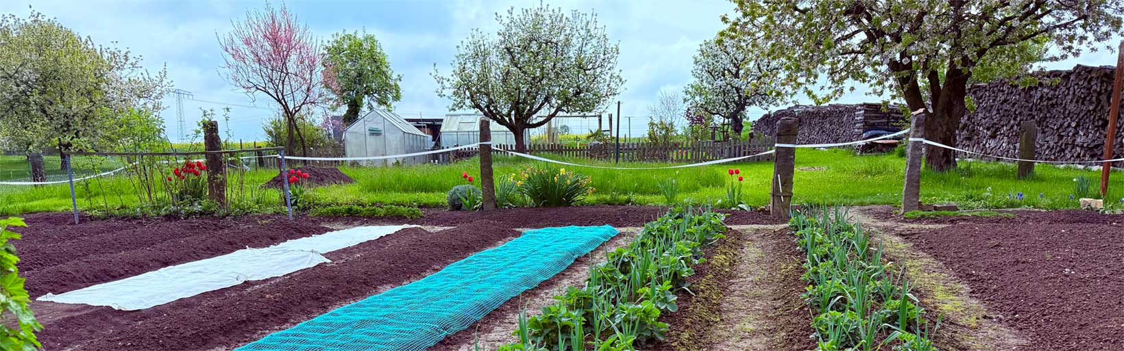 Gemüsegarten im Frühling